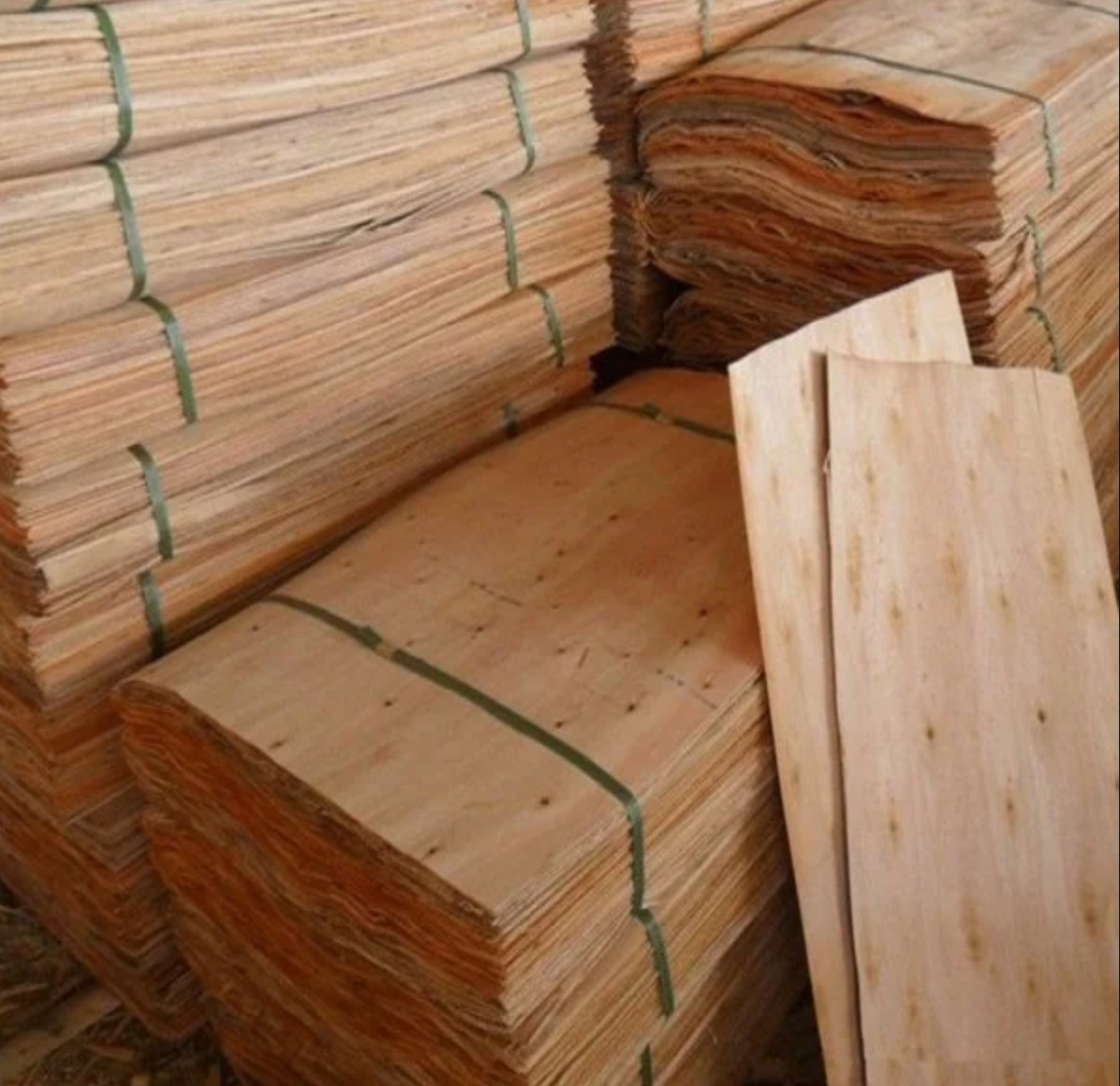 Eucalyptus Core Veneer 2